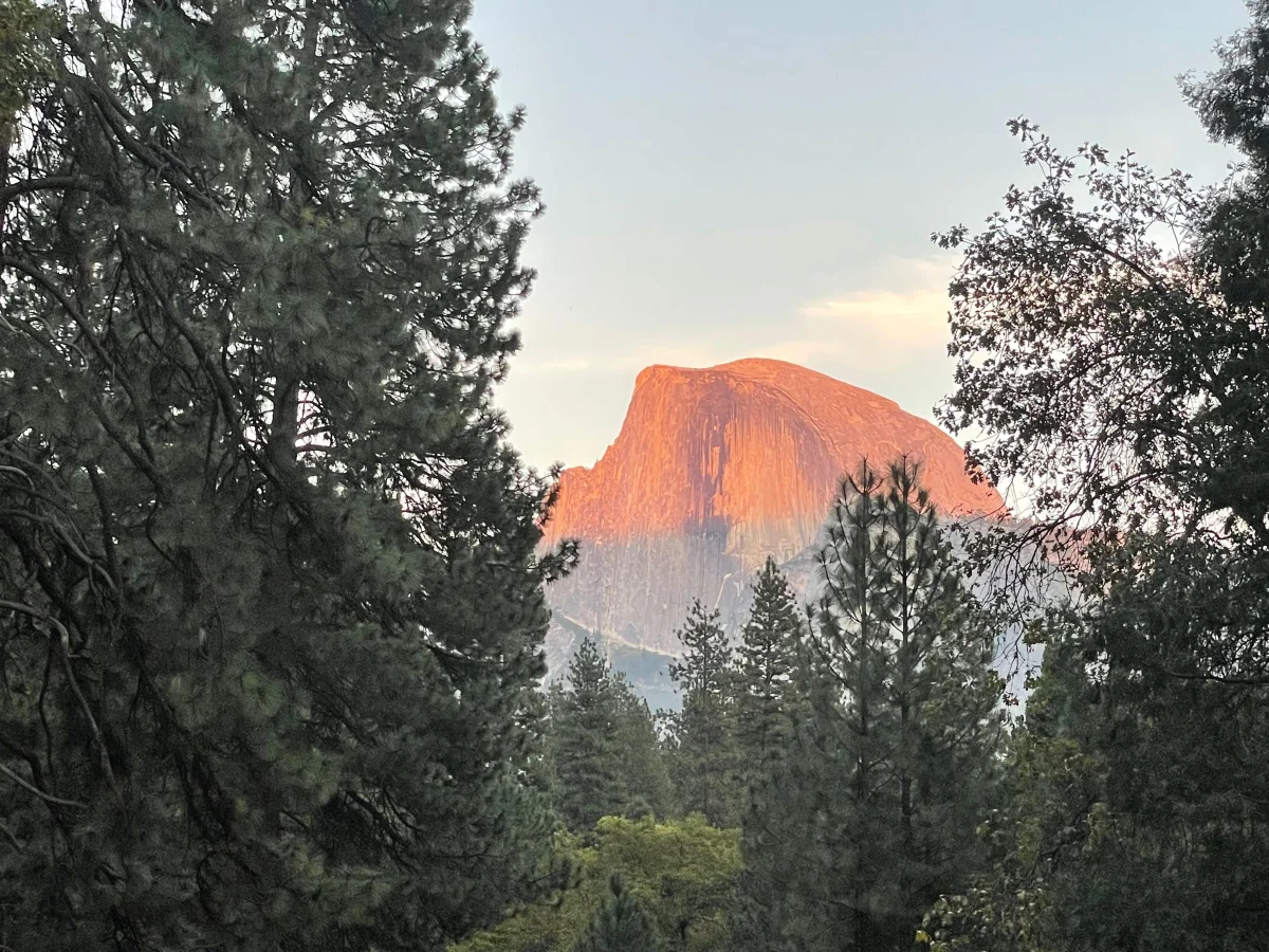 Half Dome im warmen Abendlicht über den Bäumen des Yosemite Valley.