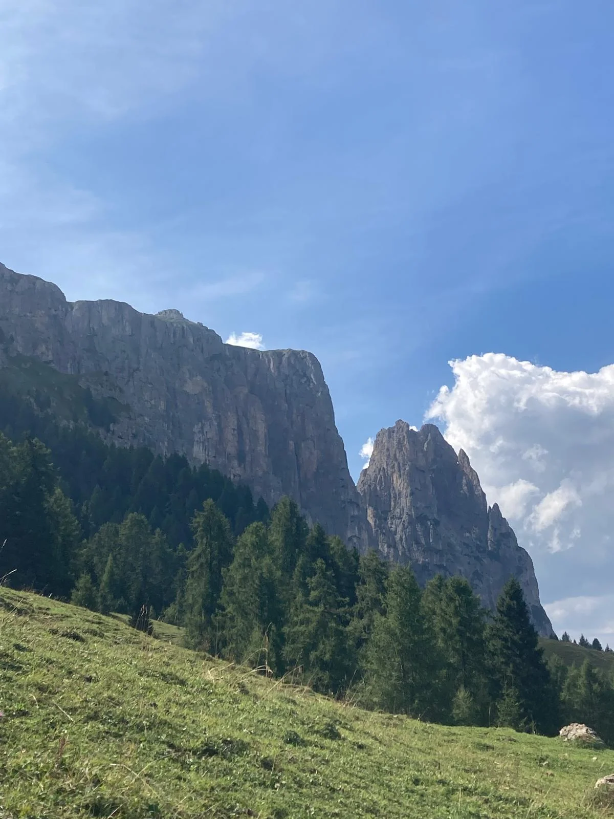 Burgstallkante – Dolomiten-Klassiker mit Bergführer: Felswand über einer grünen Almwiese.