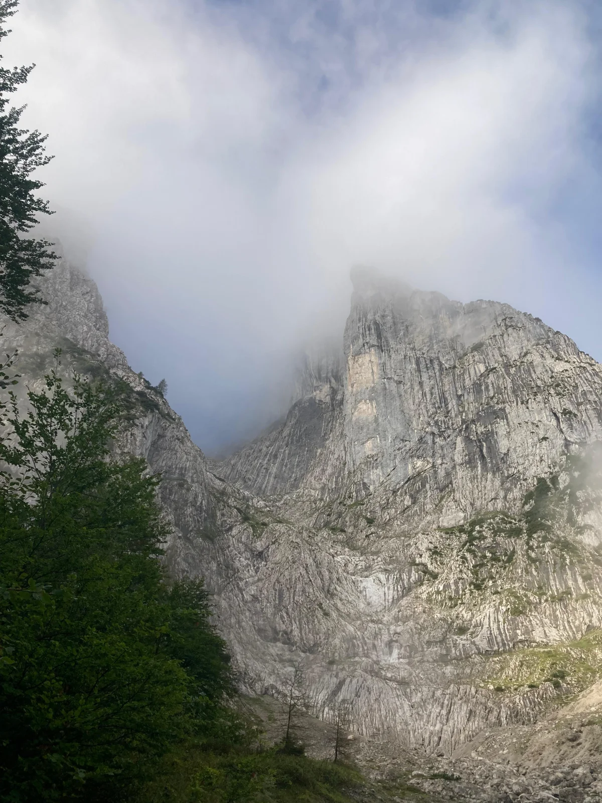 Fleischbank North Ridge – Climbing Tour with Mountain Guide in the Wilder Kaiser: Rock pillar between conifers and clouds.