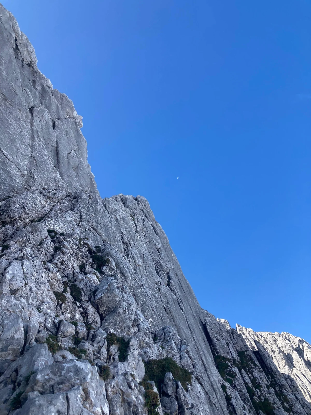 Fleischbank North Ridge – Climbing Tour with Mountain Guide in the Wilder Kaiser: Steep rock wall with grassy ledges.