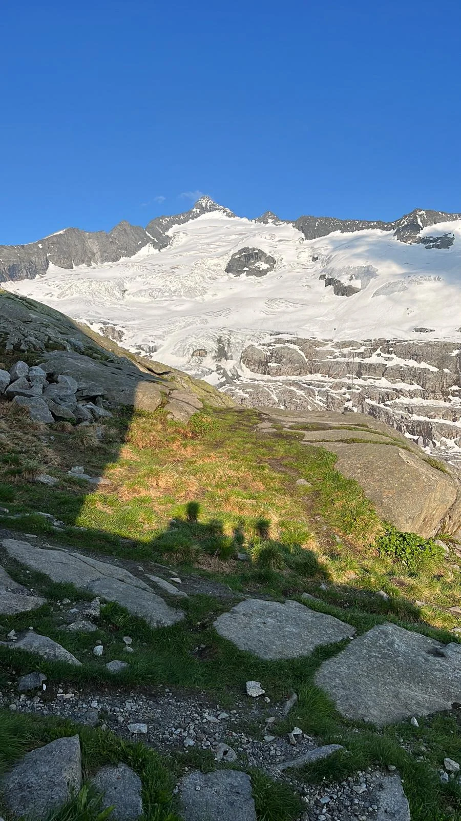 Großvenediger North Ridge with a Mountain Guide: Mountain landscape with a glacier and grassy slopes.