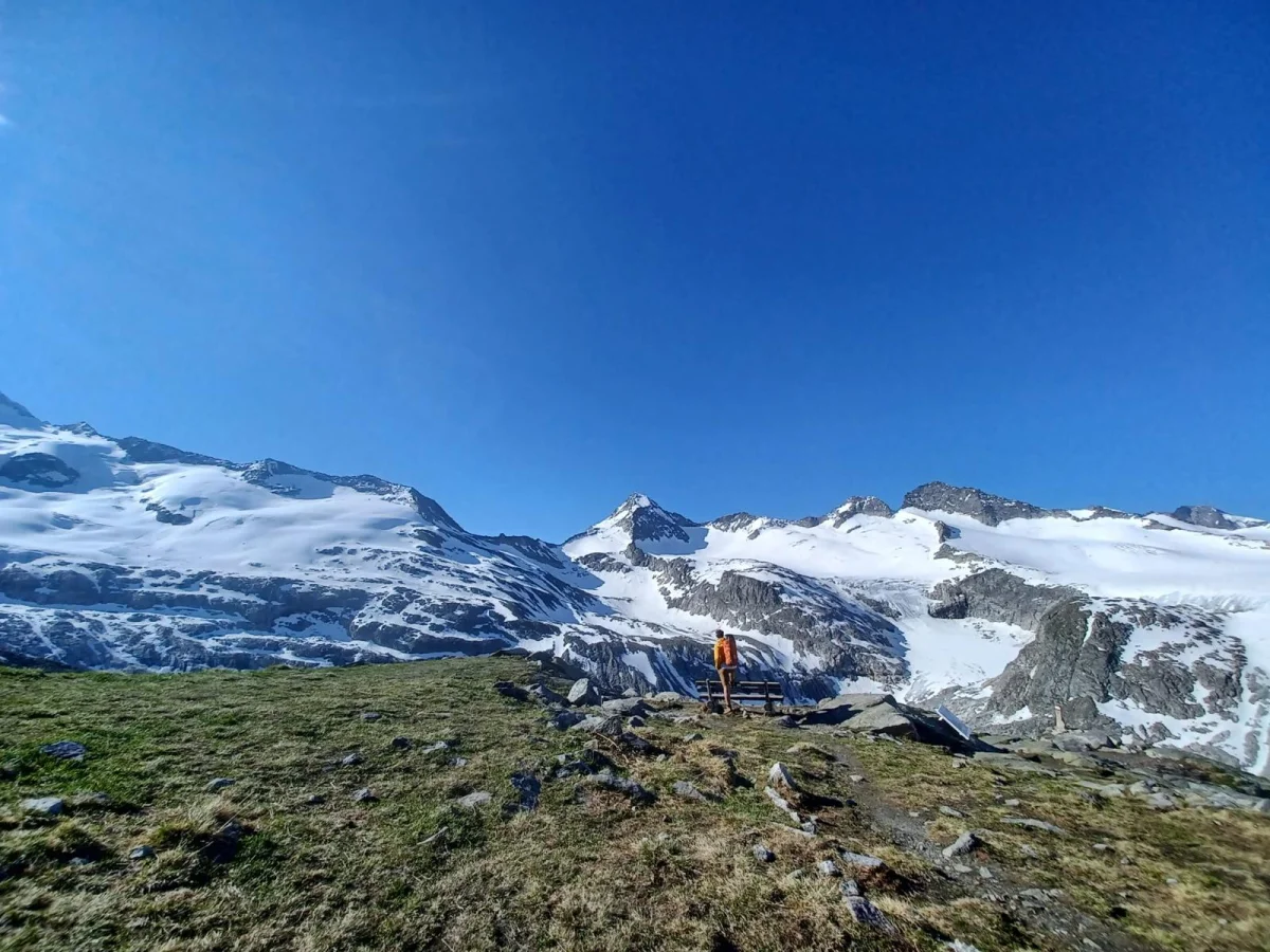 Großvenediger North Ridge with a Mountain Guide: Mountaineers approaching a glacier over grass and rock.