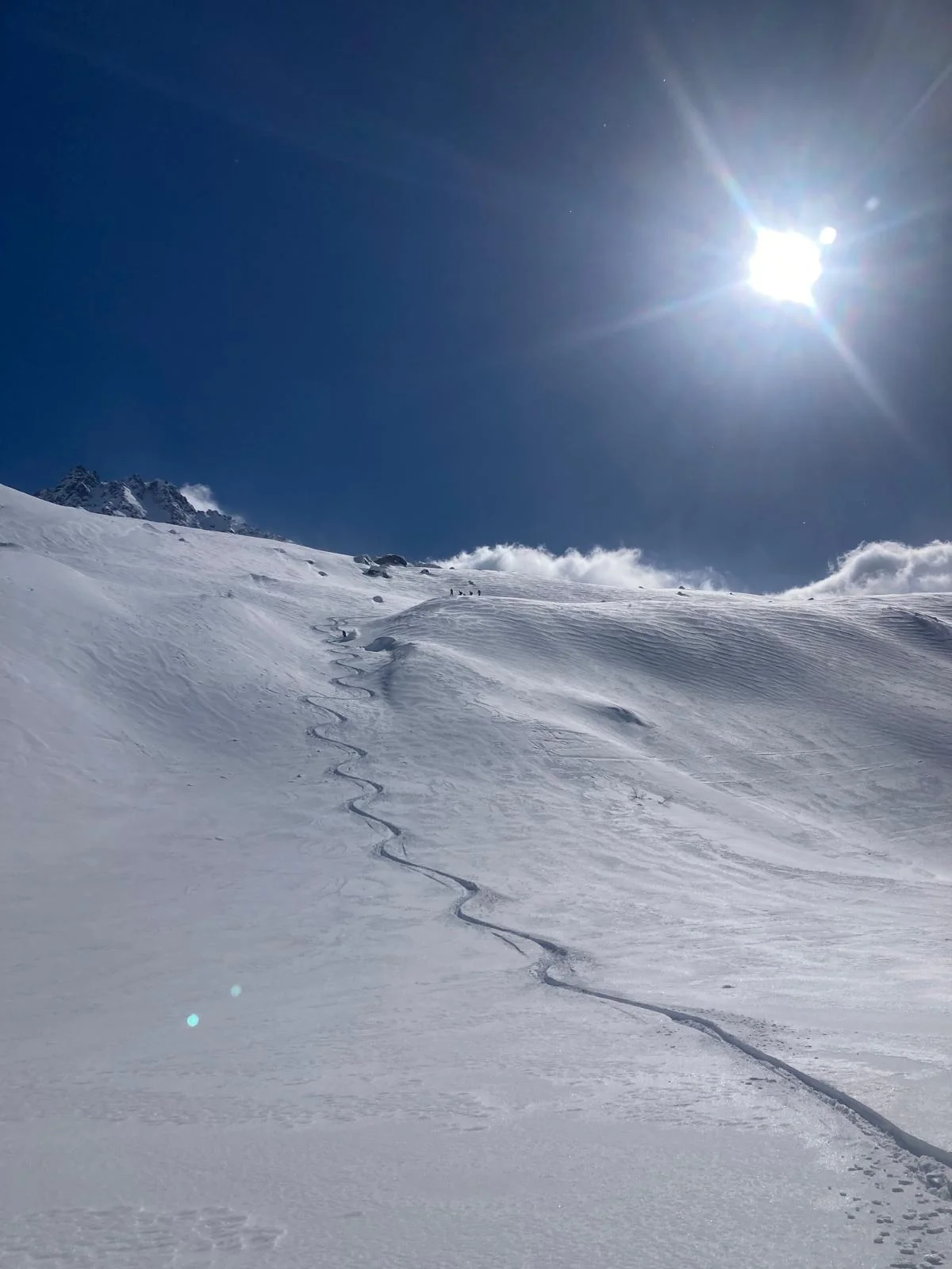 Individuelle Skidurchquerung in der Silvretta: Frische Skispuren auf einem sonnigen Pulverschneehang.