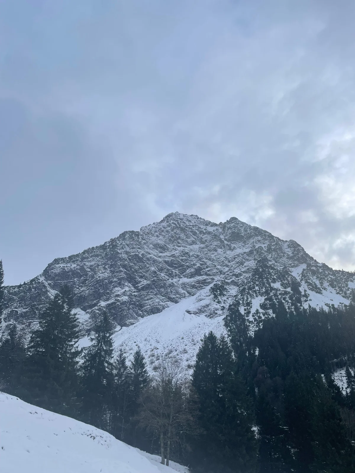 Das verschneite Rubihorn über einem Bergwald im Allgäu an einem bewölkten Wintertag.