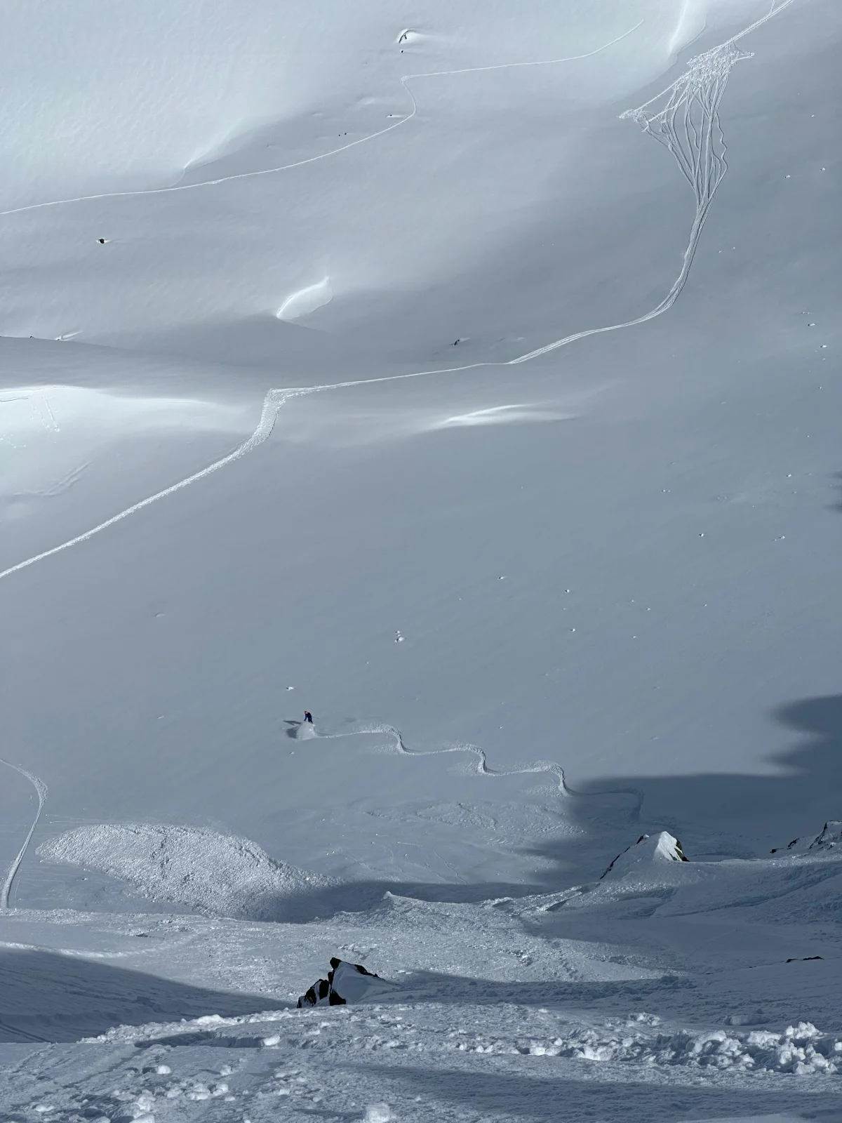 Ski Touring in the Lechtal with a Ski Guide: Untouched snowy mountain slopes in diffuse light.