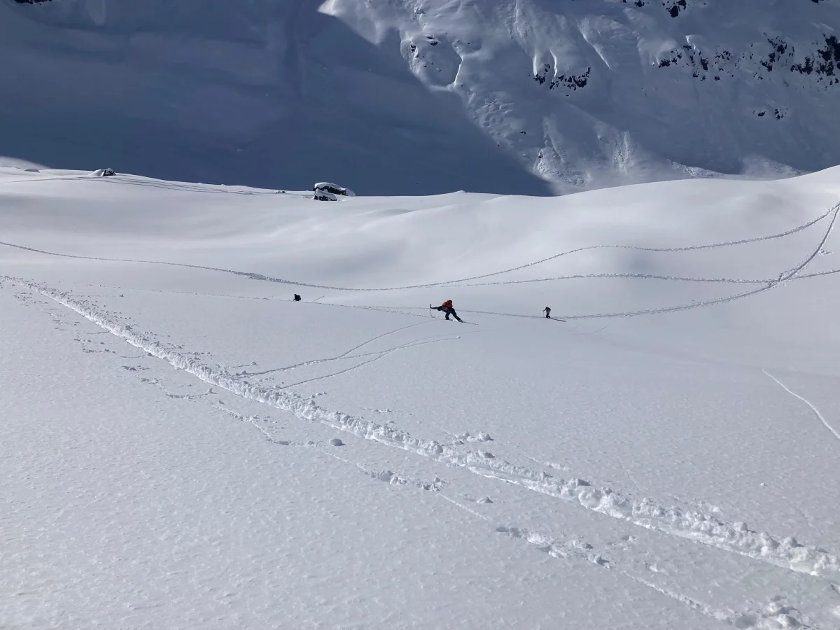 Ski Touring in Sellrain with a Mountain Guide: Skier descending a broad powder snow slope.