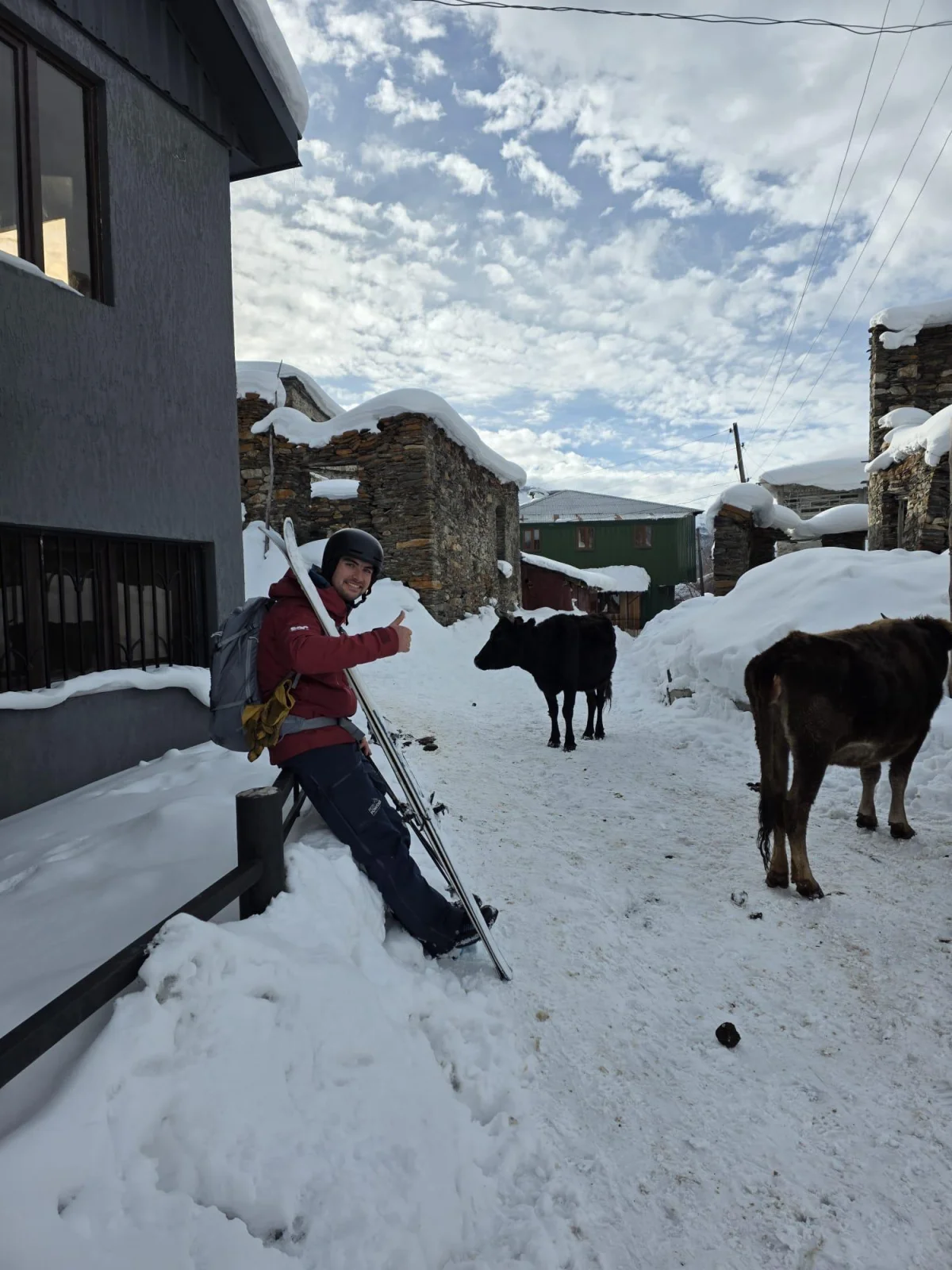 Skitouren in Georgien - Ushguli - Svanetien: Skifahrer vor einem Dorfhaus neben Kühen im Schnee.