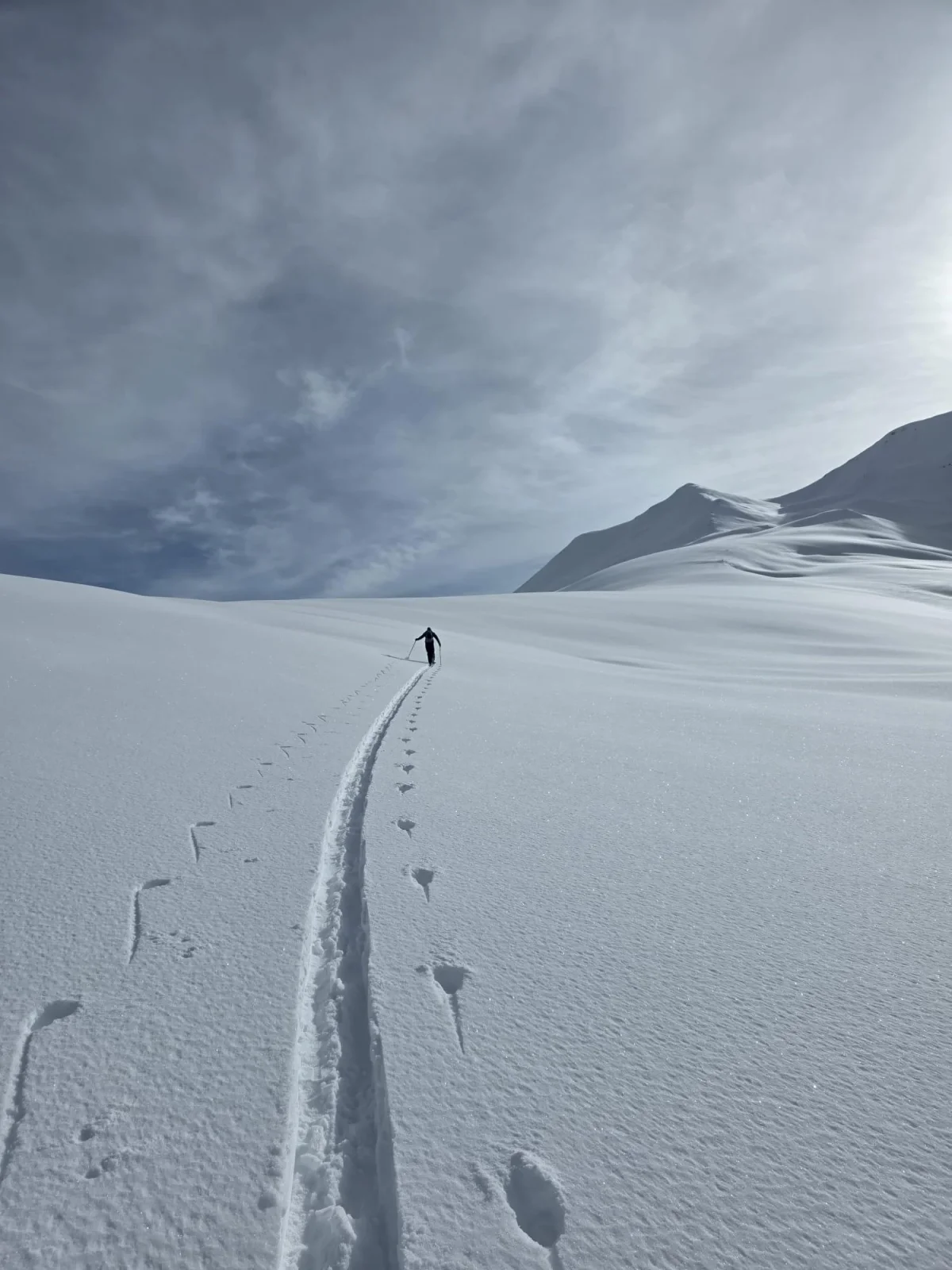 Skitouren in Georgien - Ushguli - Svanetien: Einzelner Skitourengeher auf einer langen Aufstiegsspur.